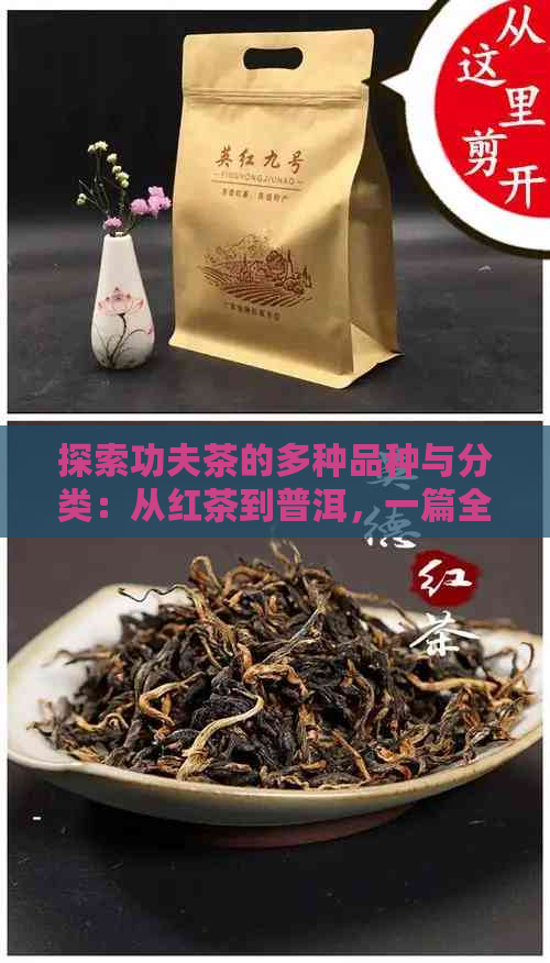 探索功夫茶的多种品种与分类：从红茶到普洱，一篇全面的百科指南