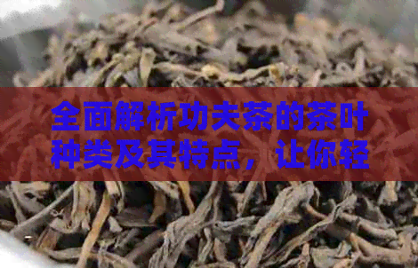 全面解析功夫茶的茶叶种类及其特点，让你轻松掌握茶艺精髓