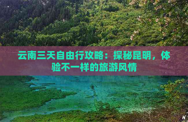 云南三天自由行攻略：探秘昆明，体验不一样的旅游风情