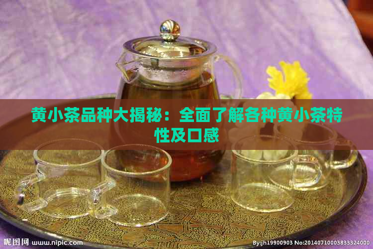 黄小茶品种大揭秘：全面了解各种黄小茶特性及口感