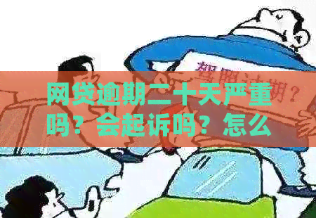 网贷逾期二十天严重吗？会起诉吗？怎么办？会有什么结果？