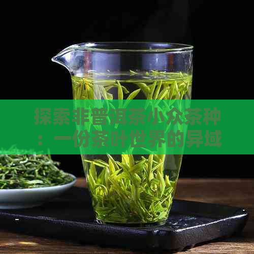 探索非普洱茶小众茶种：一份茶叶世界的异域风情