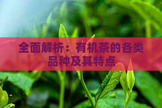 全面解析：有机茶的各类品种及其特点