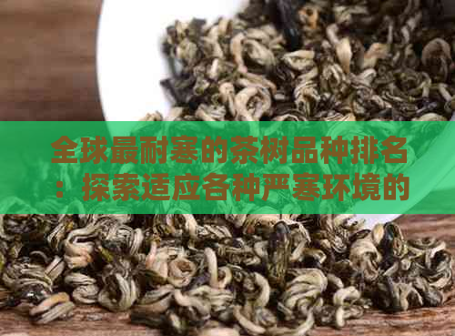 全球最耐寒的茶树品种排名：探索适应各种严寒环境的茶树种类