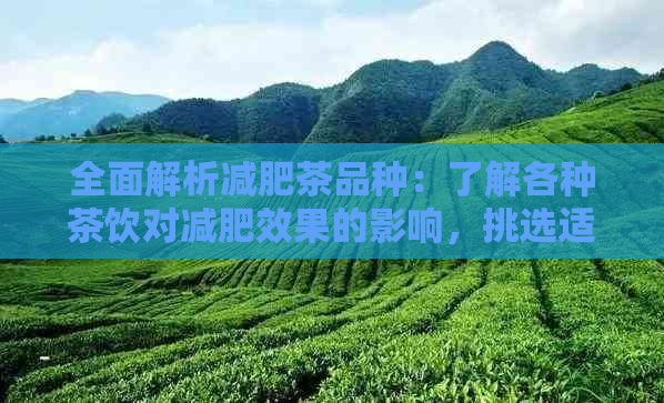 全面解析减肥茶品种：了解各种茶饮对减肥效果的影响，挑选适合自己的减肥茶