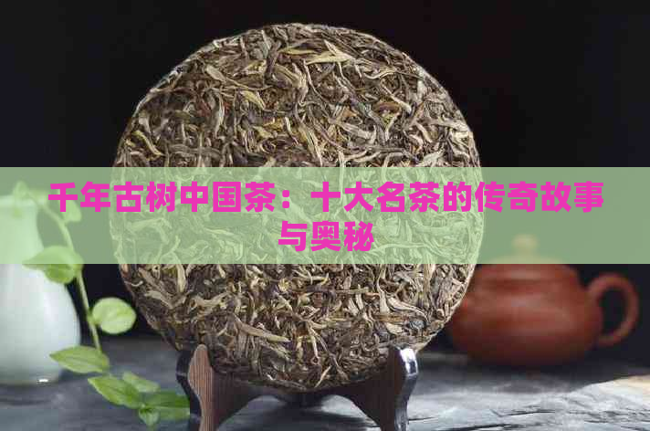 千年古树中国茶：十大名茶的传奇故事与奥秘