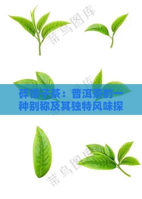 碎银子茶：普洱茶的一种别称及其独特风味探究