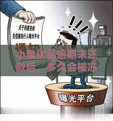 小象优品逾期未还款后，多久会被冻结微信支付功能？如何解决此问题？