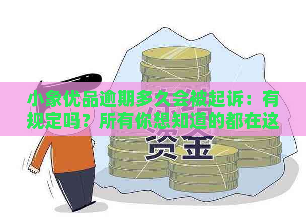 小象优品逾期多久会被起诉：有规定吗？所有你想知道的都在这儿！