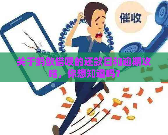 关于蚂蚁借呗的还款日和逾期攻略，你想知道吗？