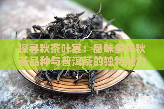 探寻秋茶叶宴：品味多样秋茶品种与普洱茶的独特魅力