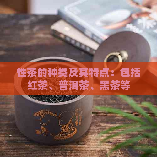 性茶的种类及其特点：包括红茶、普洱茶、黑茶等