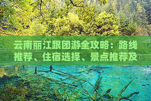 云南丽江跟团游全攻略：路线推荐、住宿选择、景点推荐及旅行必备注意事项