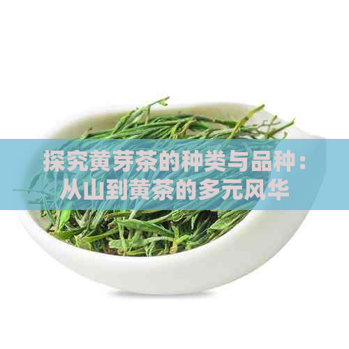 探究黄芽茶的种类与品种：从山到黄茶的多元风华