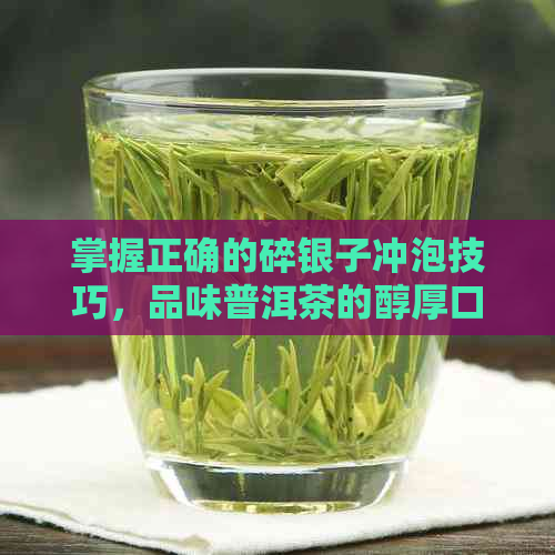 掌握正确的碎银子冲泡技巧，品味普洱茶的醇厚口感