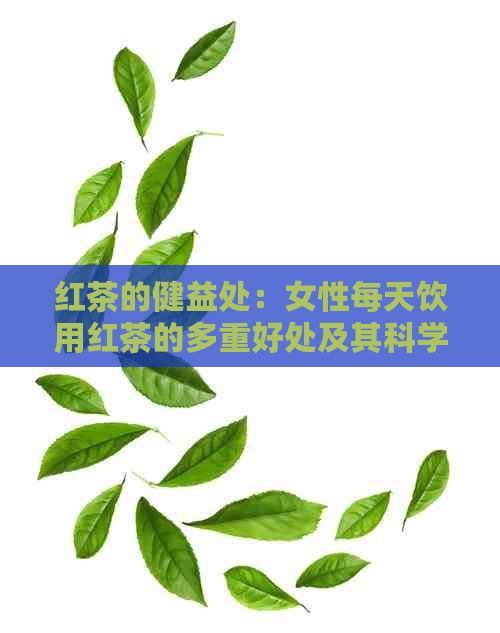 红茶的健益处：女性每天饮用红茶的多重好处及其科学依据