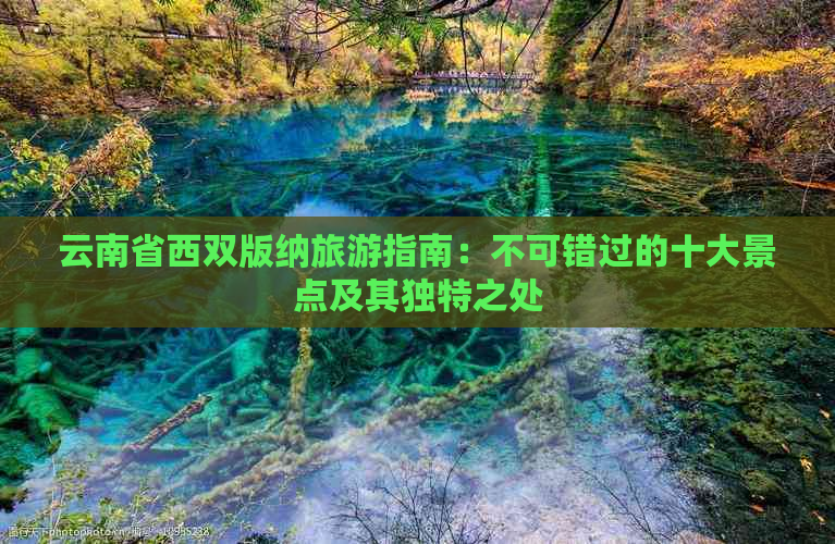 云南省西双版纳旅游指南：不可错过的十大景点及其独特之处