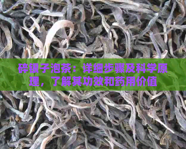 碎银子泡茶：详细步骤及科学原理，了解其功效和药用价值