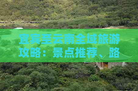 宜宾至云南全域旅游攻略：景点推荐、路线规划、交通方式及住宿信息详解