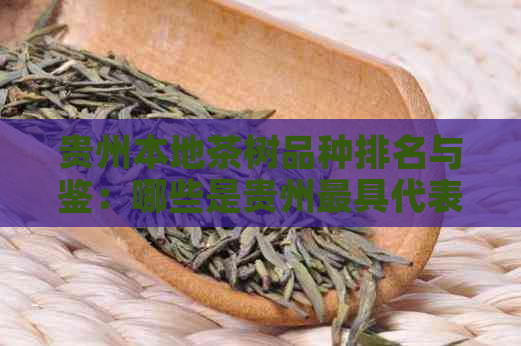 贵州本地茶树品种排名与鉴：哪些是贵州更具代表性的茶叶？