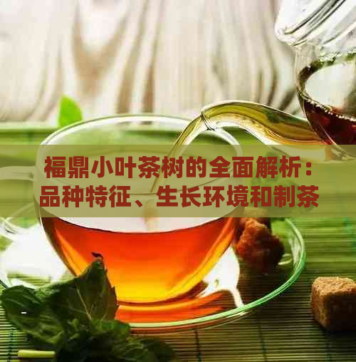 福鼎小叶茶树的全面解析：品种特征、生长环境和制茶工艺