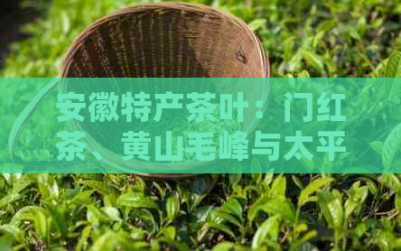 安徽特产茶叶：门红茶、黄山毛峰与太平猴魁等十大名茶的产自与品质特点