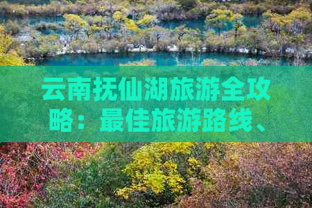 云南抚仙湖旅游全攻略：更佳旅游路线、景点推荐、住宿和交通信息一应俱全