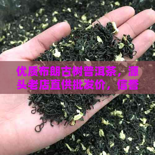 优质布朗古树普洱茶，源头老店直供批发价，信誉有保障