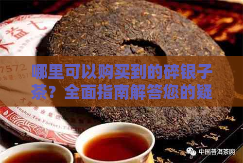 哪里可以购买到的碎银子茶？全面指南解答您的疑问