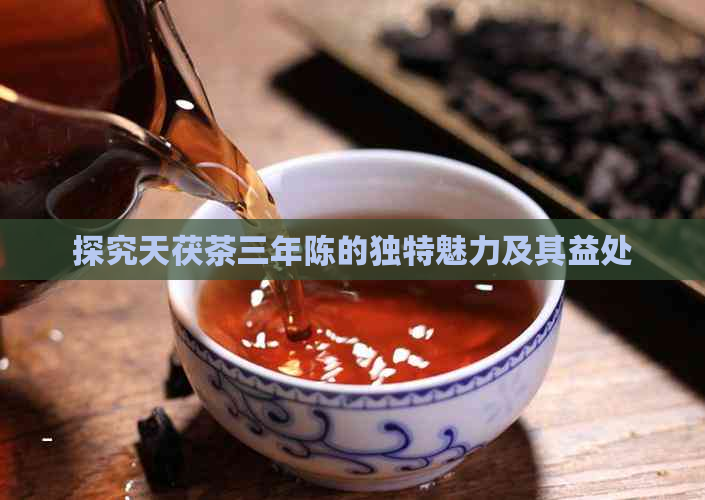 探究天茯茶三年陈的独特魅力及其益处