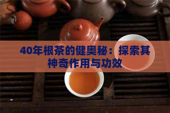 40年根茶的健奥秘：探索其神奇作用与功效