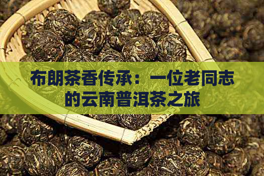 布朗茶香传承：一位老同志的云南普洱茶之旅