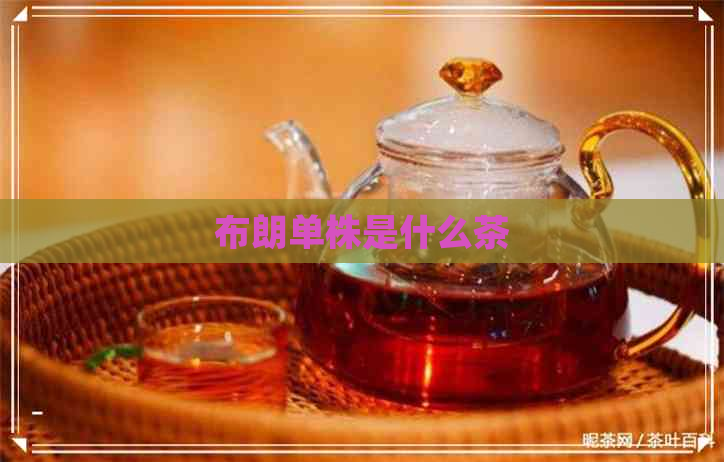 布朗单株是什么茶