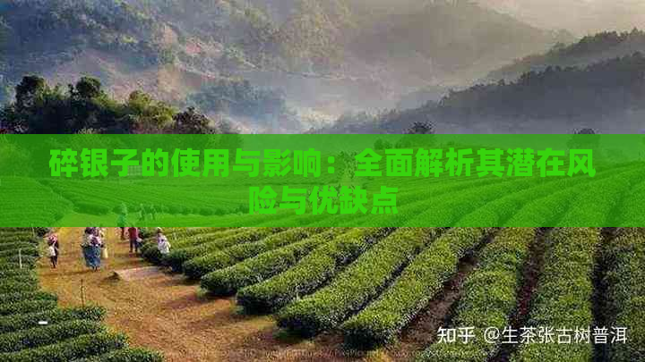 碎银子的使用与影响：全面解析其潜在风险与优缺点