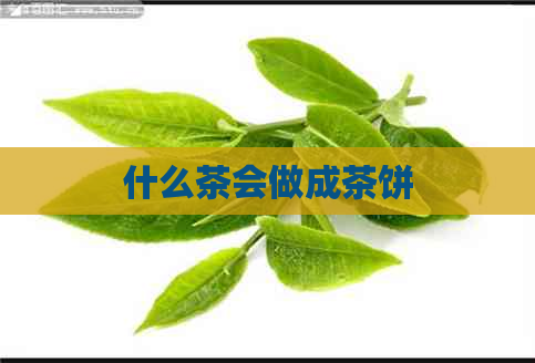 什么茶会做成茶饼