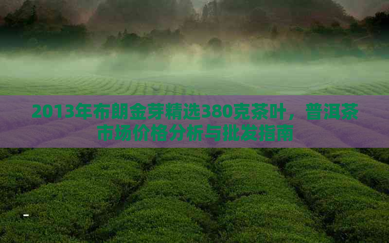 2013年布朗金芽精选380克茶叶，普洱茶市场价格分析与批发指南