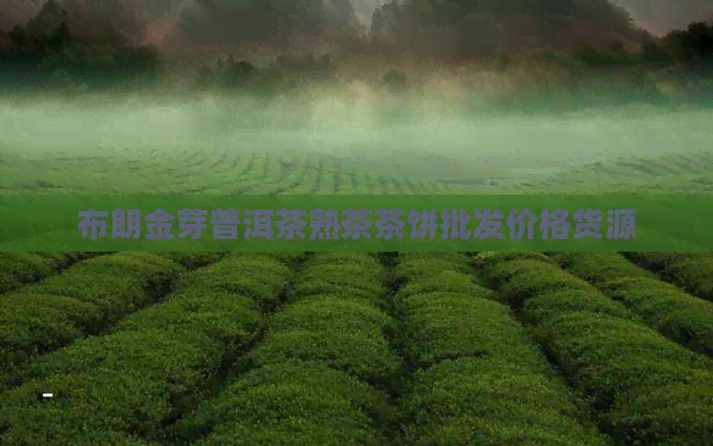 布朗金芽普洱茶熟茶茶饼批发价格货源