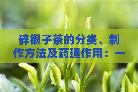 碎银子茶的分类、制作方法及药理作用：一篇全面的解答