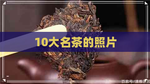 10大名茶的照片