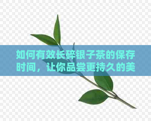 如何有效长碎银子茶的保存时间，让你品尝更持久的美味？