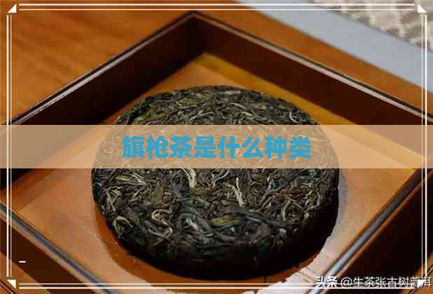 旗枪茶是什么种类