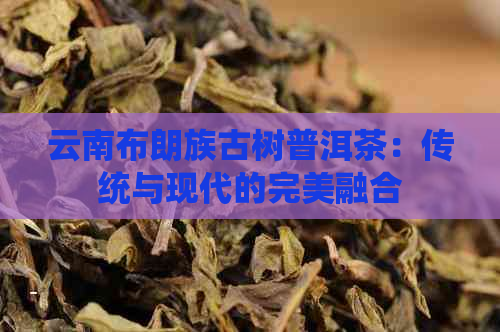 云南布朗族古树普洱茶：传统与现代的完美融合