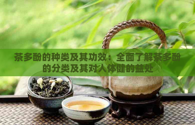 茶多酚的种类及其功效：全面了解茶多酚的分类及其对人体健的益处