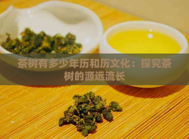 茶树有多少年历和历文化：探究茶树的源远流长