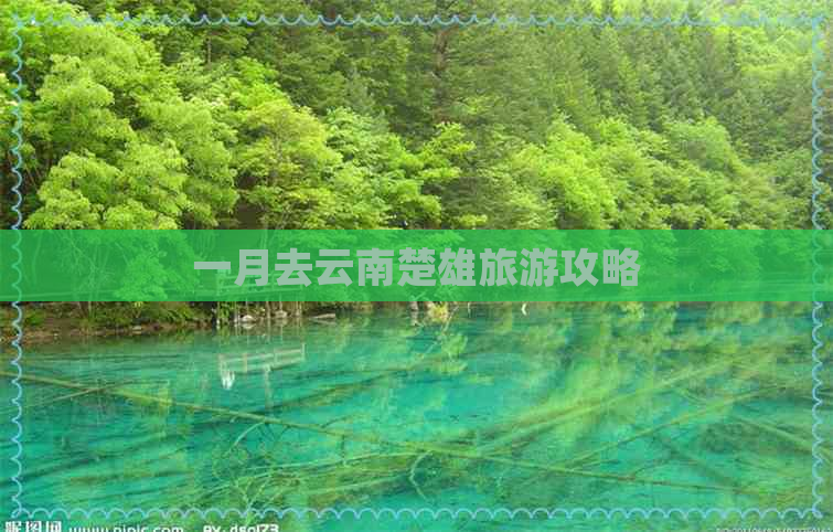 一月去云南楚雄旅游攻略