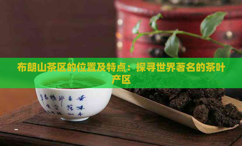 布朗山茶区的位置及特点：探寻世界著名的茶叶产区