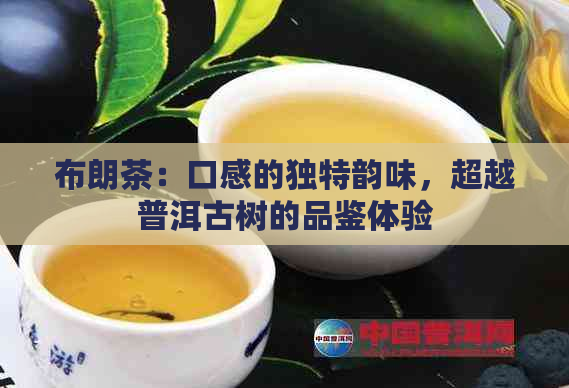 布朗茶：口感的独特韵味，超越普洱古树的品鉴体验