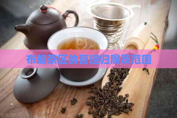 布朗茶区的管理归属及范围