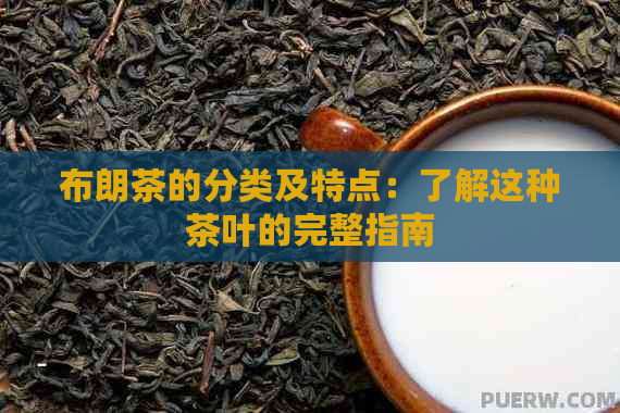 布朗茶的分类及特点：了解这种茶叶的完整指南