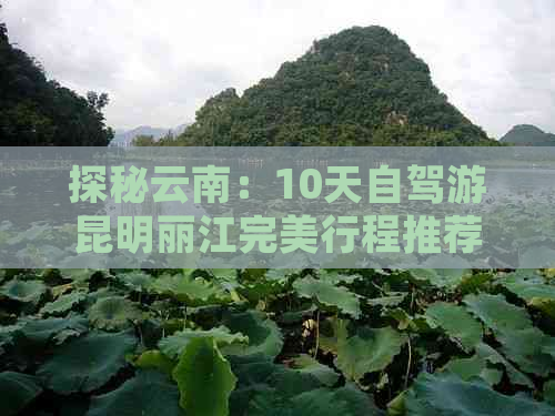 探秘云南：10天自驾游昆明丽江完美行程推荐与收藏